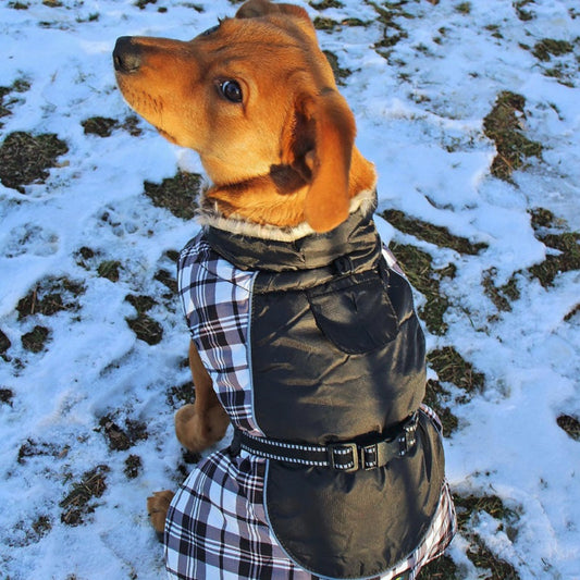 Alpine Dog Coat Black and White Plaid 65164