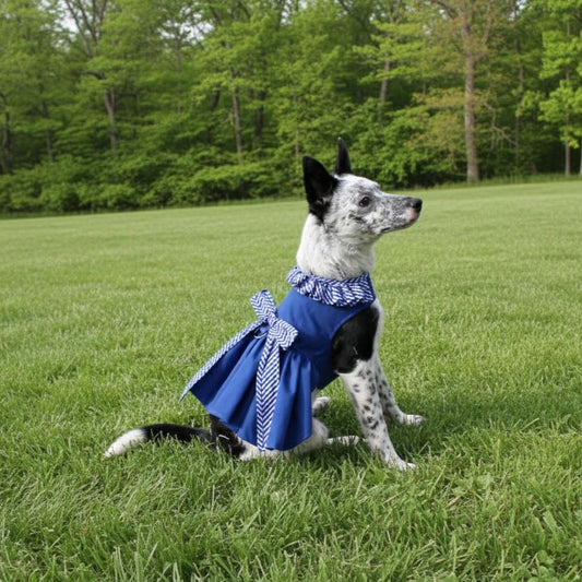 Blue Gingham Dog Dress with Matching Leash