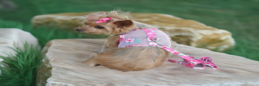 Our Hawaiian Cool Mesh Harness line features a Pink Hibiscus Flower