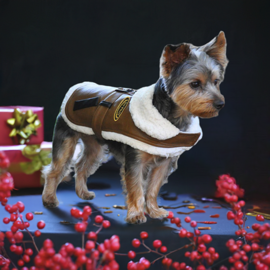 Brown Faux Leather Bomber Dog Coat & Leash
