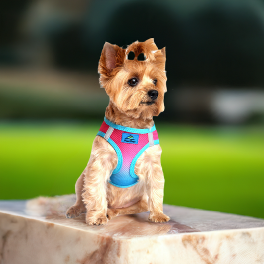 American River Choke-Free Dog Harnes 60954