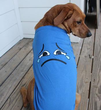 Sad Face Dog Tank - Nautical Blue