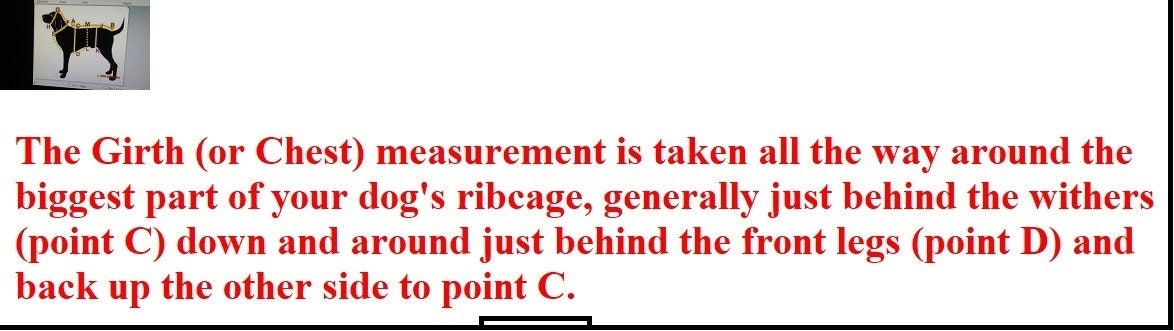 Biker Dawg Motorcycle Jacket-Pink