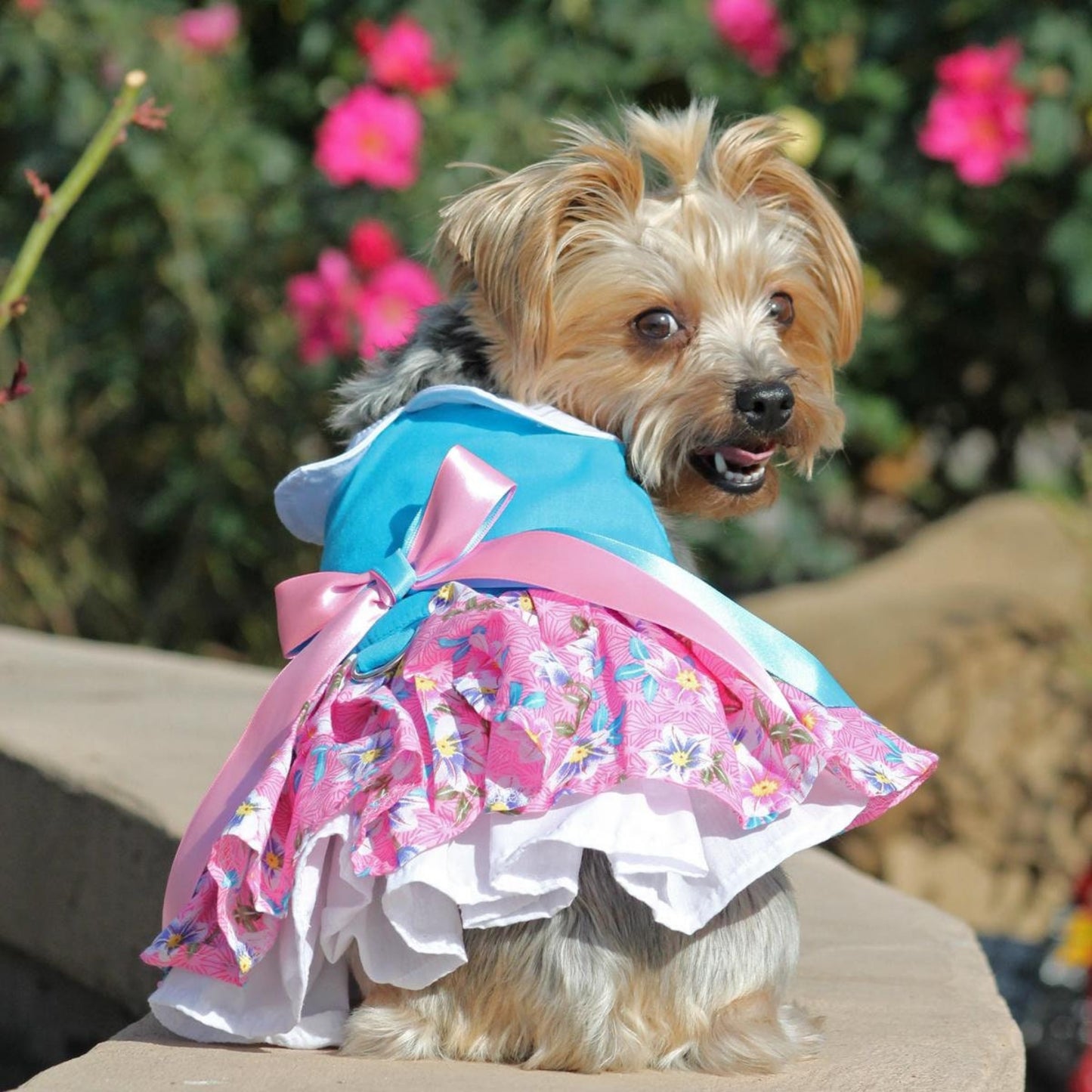 Pink and Blue Plumeria Dog Harness Dress by Doggie Design 70885 Spring Dress
