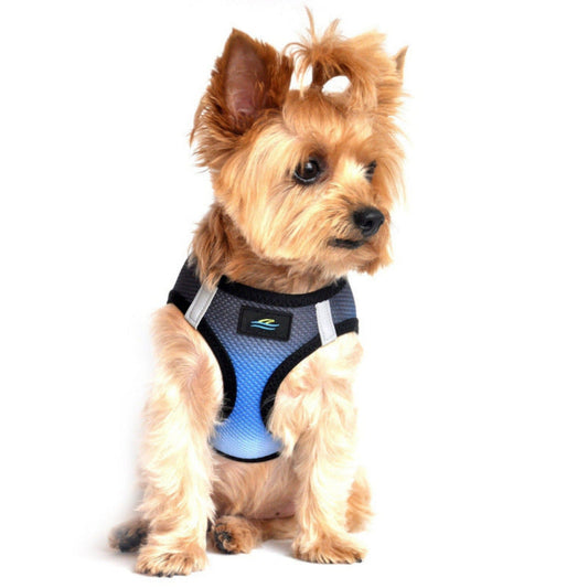 Midnight Sky dog harness
