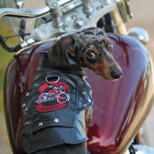 Doggie Design Biker Dawg Motorcycle Coat-Black