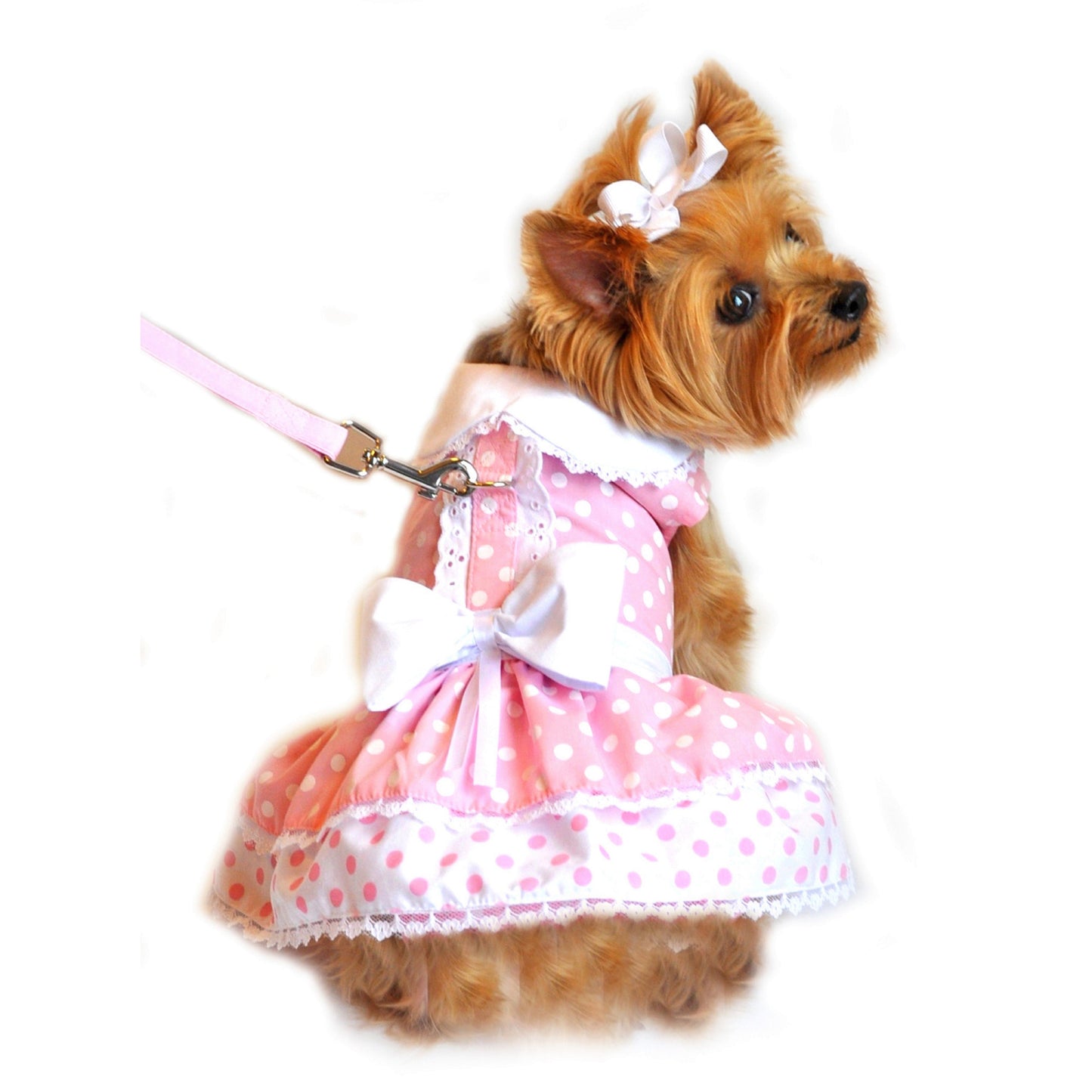 Polka Dot and Lace Dog Dress Set with Leash - Pink 10432
