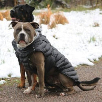 Alpine Extreme Weather Puffer Dog Coat by Doggie Design Black