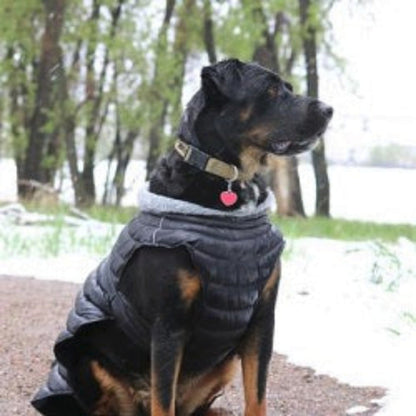 Alpine Extreme Weather Puffer Dog Coat by Doggie Design Black