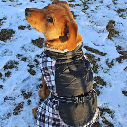 Alpine Dog Coat Black and White Plaid 65164