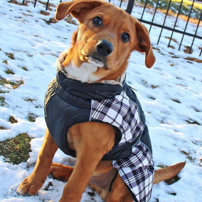 Alpine Dog Coat Black and White Plaid 65164