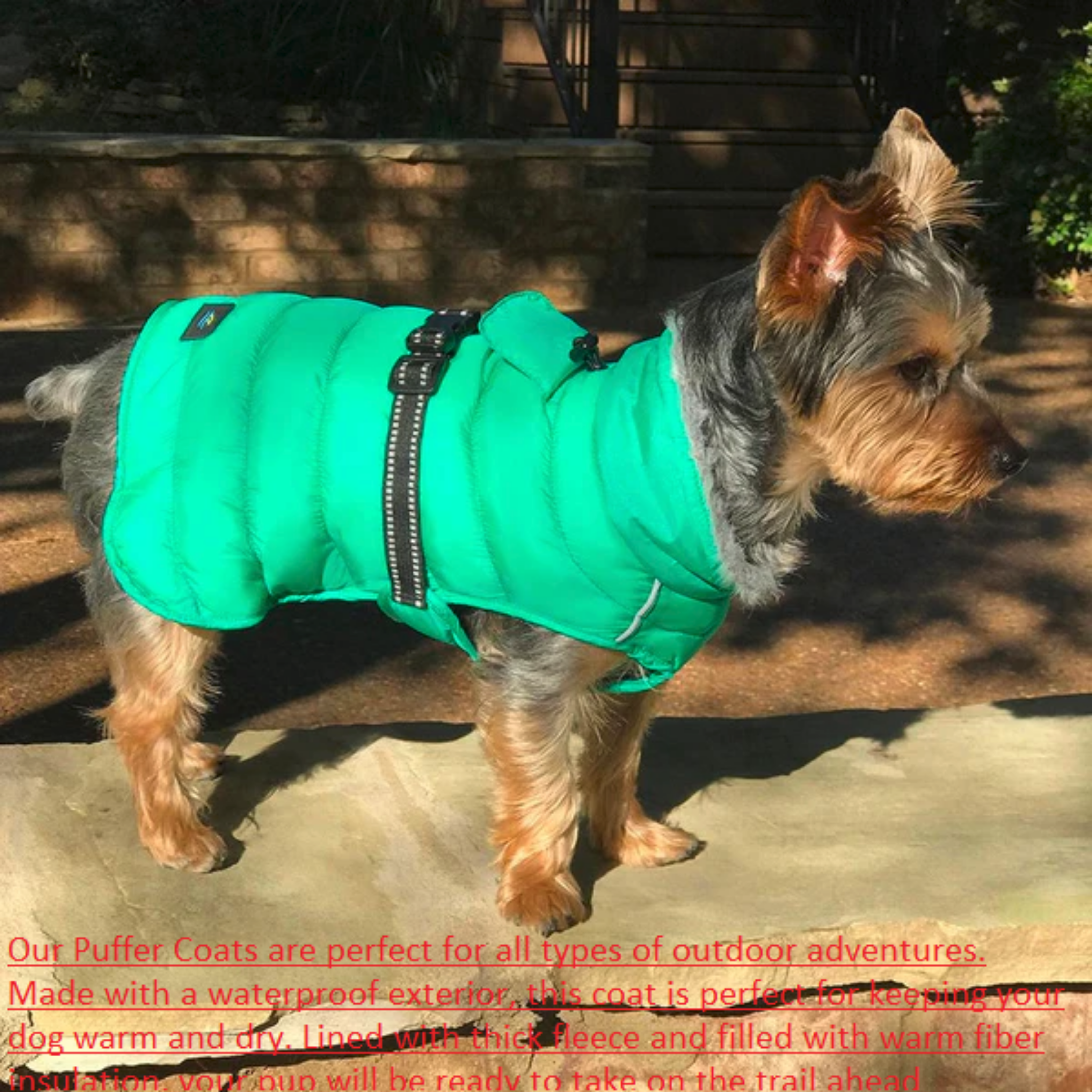 Alpine Extreme Weather Puffer Coat – Rascal Pet Store