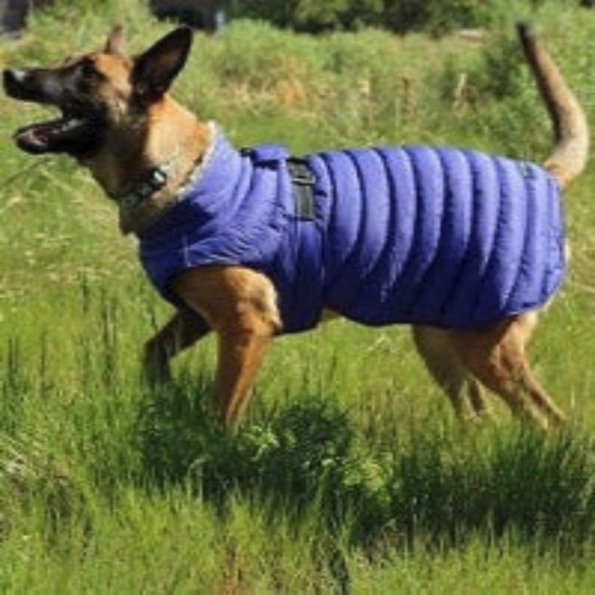 Alpine Extreme Weather Puffer Dog Coat – Rascal Pet Store