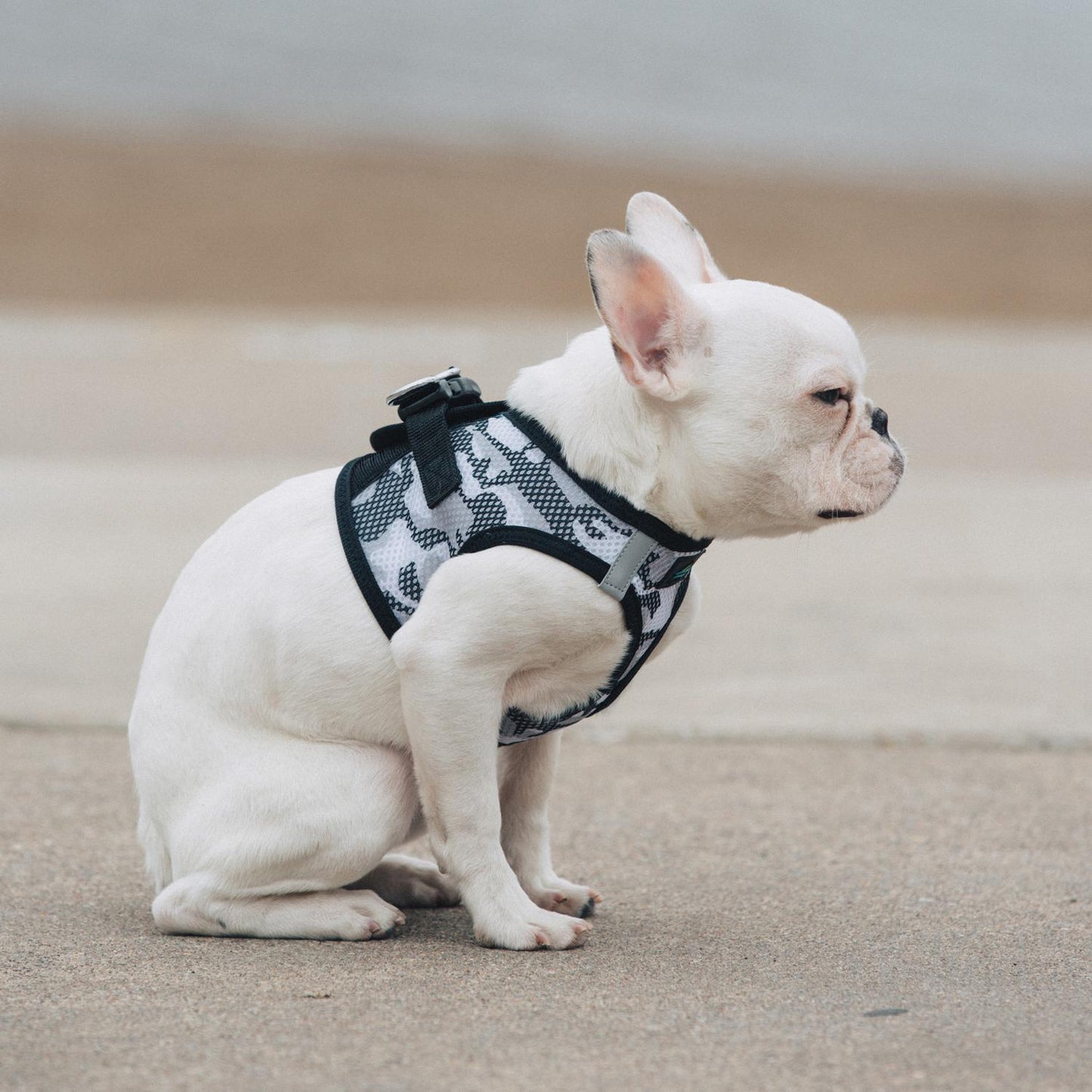 Grey Camo Choke‑Free Dog Harness | American River (XXS–3XL)
