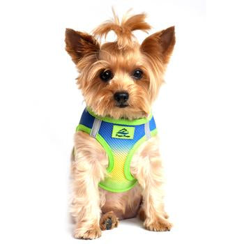 Doggie Design No pull dog Harness