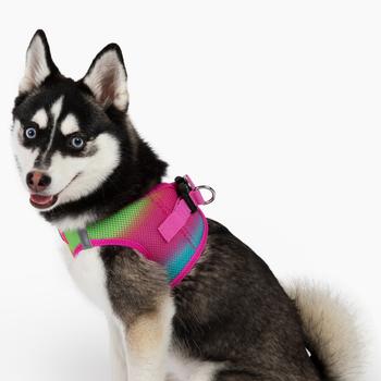 Doggie Design No pull dog Harness