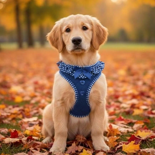 Doggie Design American River No‑Choke Dog Harness – Navy Polka Dot (XXS–3XL)