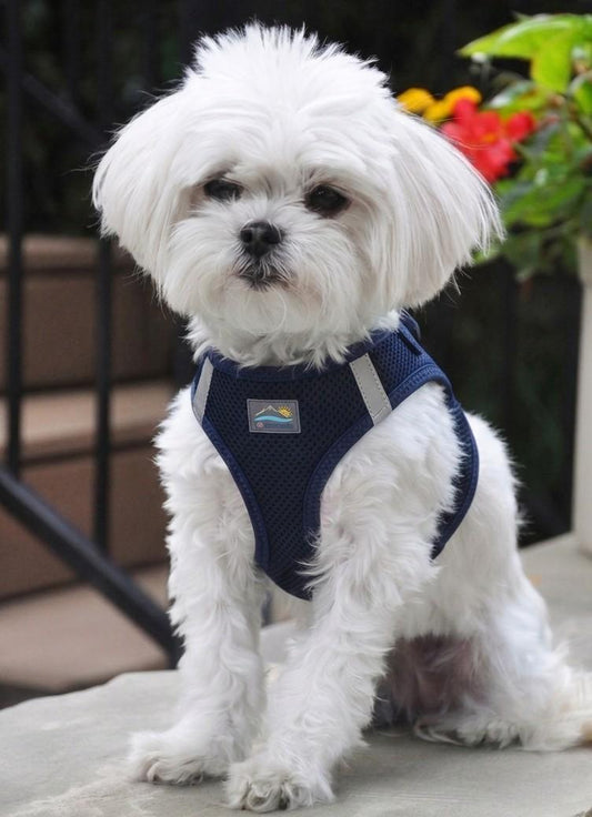 American River Solid Ultra Choke Free Dog Harness - Navy