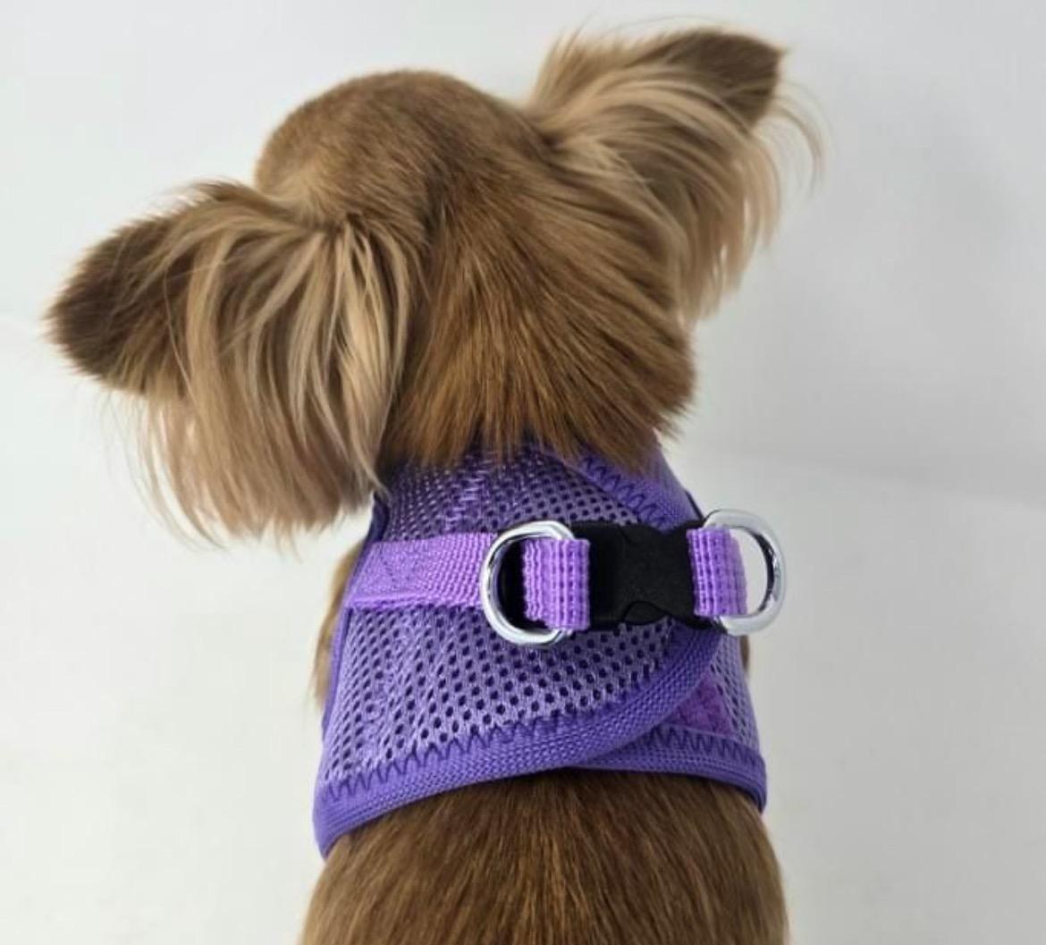 American River Choke‑Free Step‑In Dog Harness – Paisley Purple (XXS–3XL)