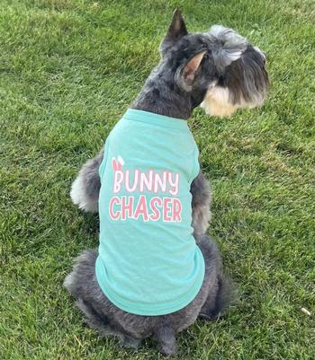 Bunny Chaser Dog Shirt - Teal  78744