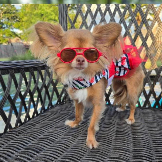 Cherry Stripe Harness Dress with Matching Leash 78586