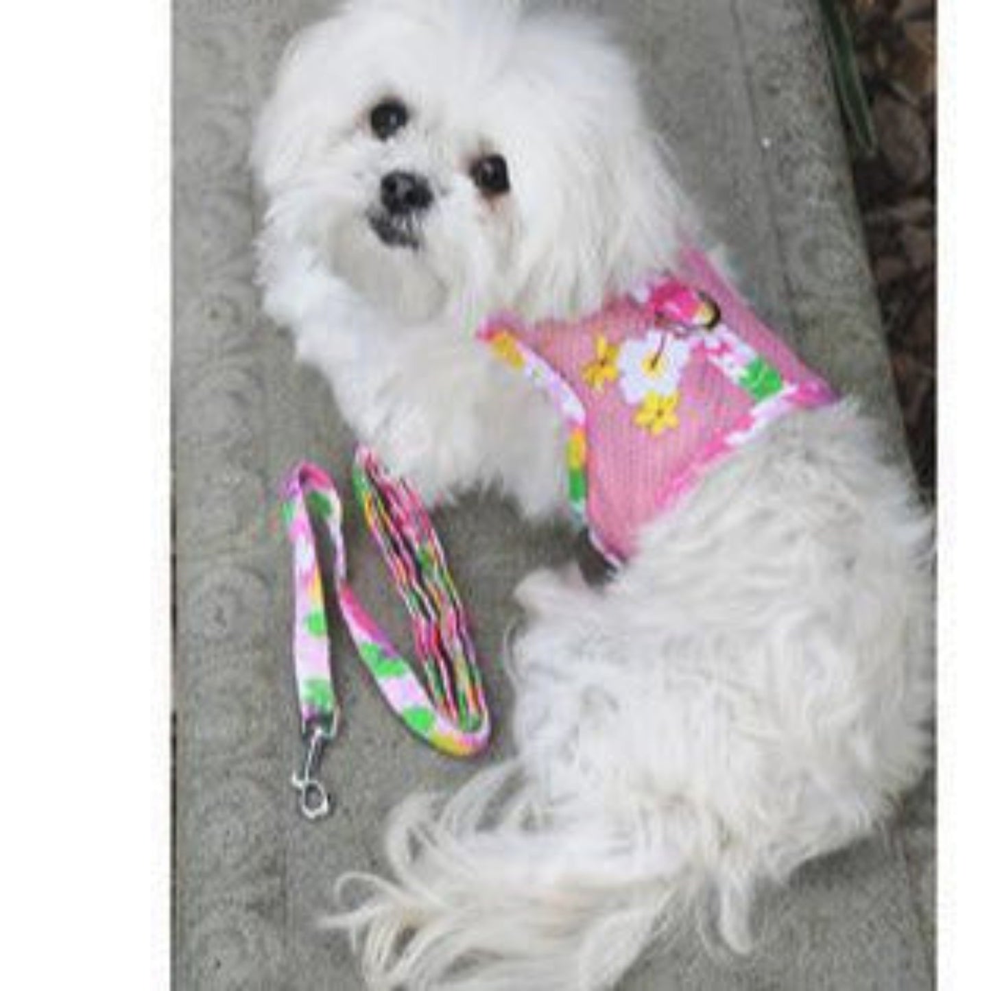 Cool Mesh Dog Harness Pink Hawaiian Floral