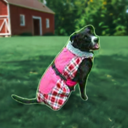 All Weather Dog Coat 65161