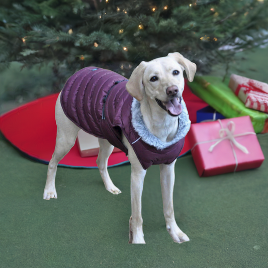 Doggie Design Alpine Extreme Weather Puffer Dog Coat Burgundy 68222