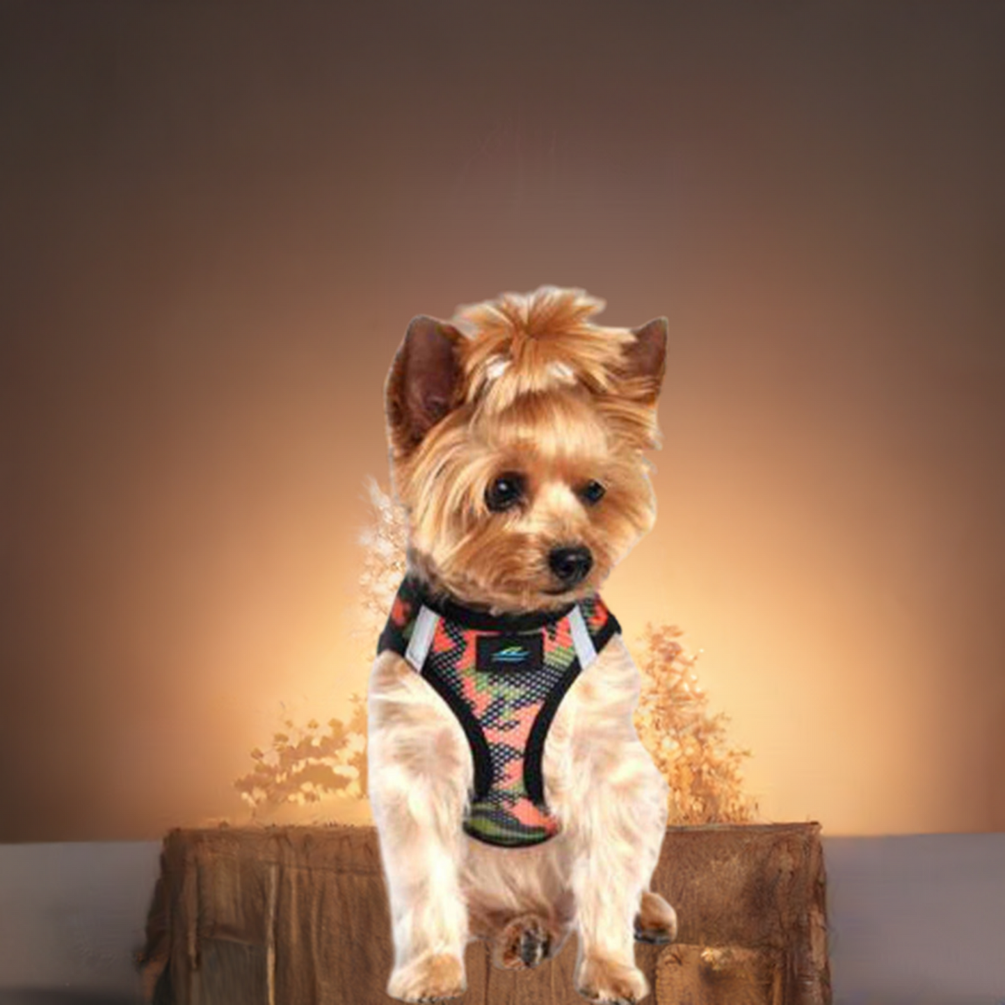 American River  Camouflage Collection Orange Camo