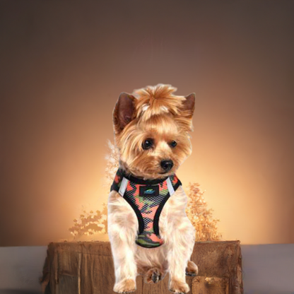 American River  Camouflage Collection Orange Camo