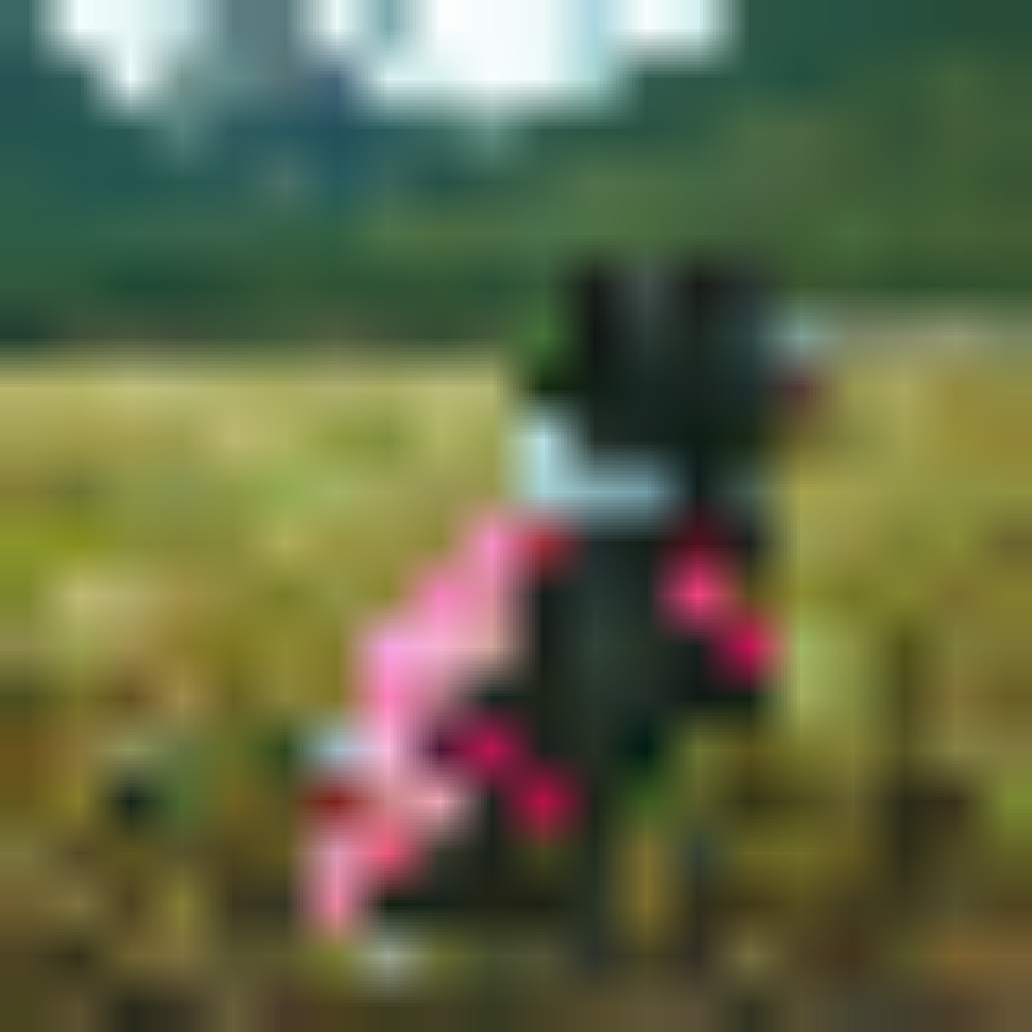 All Weather Dog Coat 65161