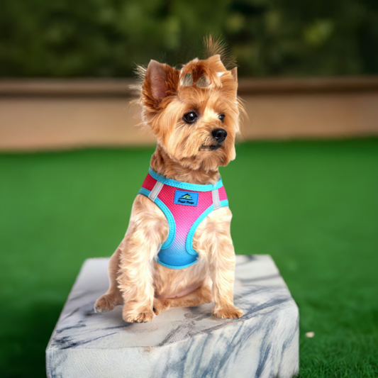 American River Choke-Free Dog Harnes 60954