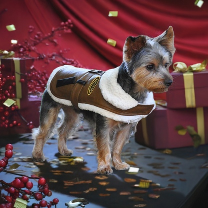 Brown Faux Leather Bomber Dog Coat & Leash