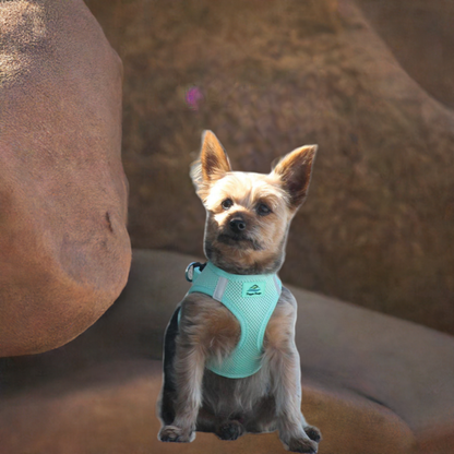 American River Ultra Choke-Free Mesh Dog Harness by Doggie Design- Teal-66869