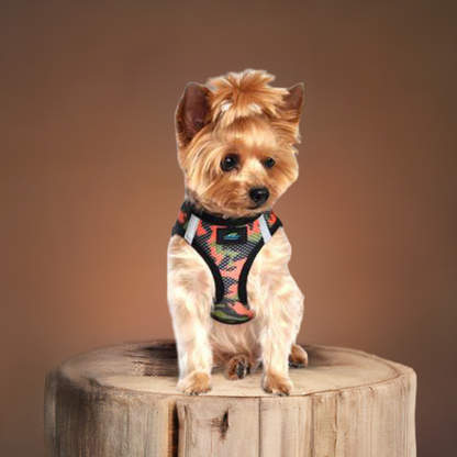 American River  Camouflage Collection Orange Camo