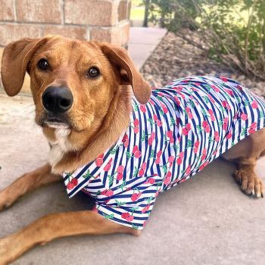 Hawaiian Camp Shirt - Cherry Stripe by Doggie Design 78583