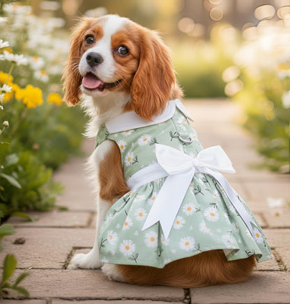 Mint Green Daisy Dog Dress with Matching Leash | Doggie Design (XS–XL)