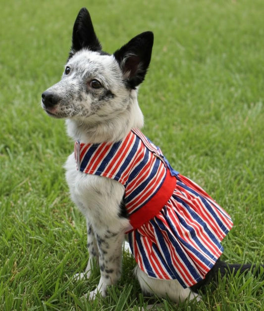 Patriotic dog dress front view – red white blue print