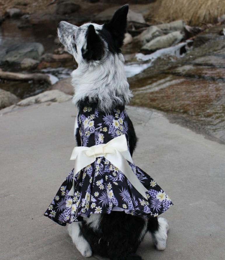 Purple Twilight Hawaiian Dog Dress with Matching Leash