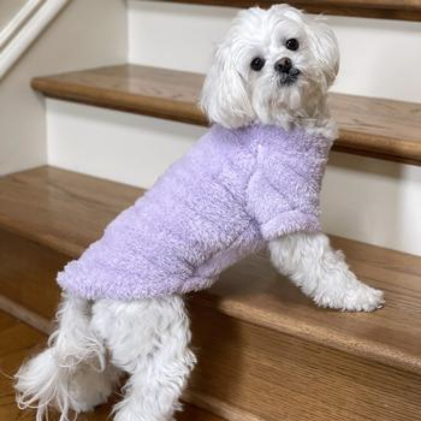 Soft Plush Pullover - Lavender 78570