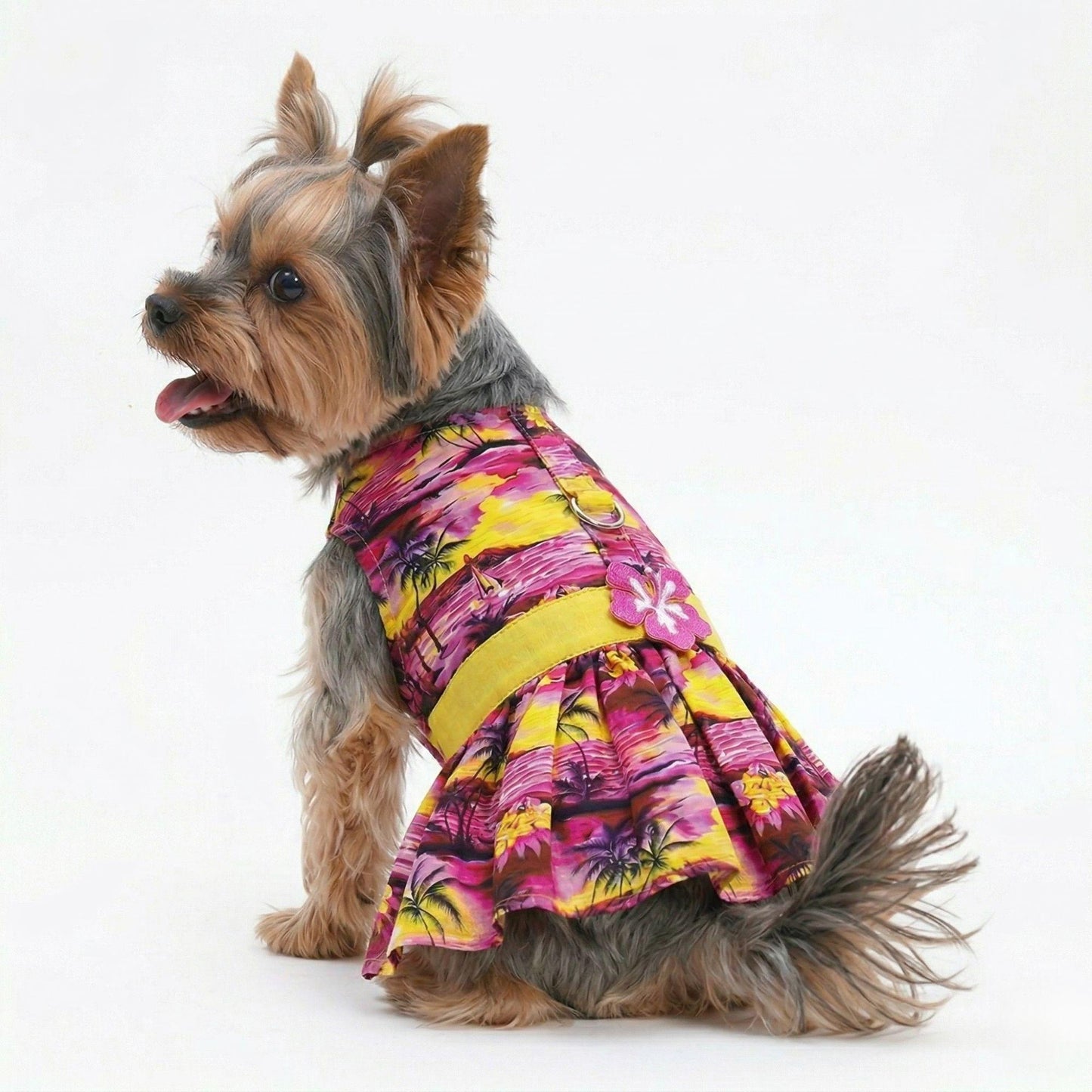 Tropical Sunset Dog Dress with Matching Leash | Doggie Design (XS–XL)