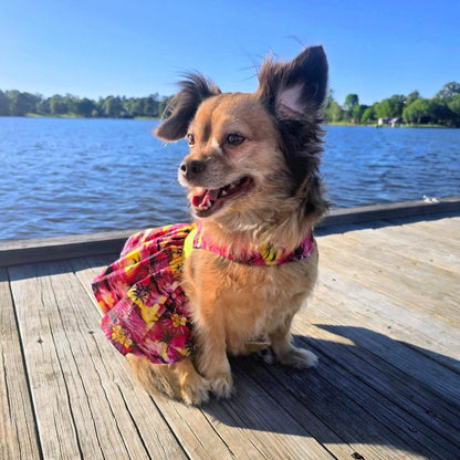 Tropical Sunset Dog Dress with Matching Leash | Doggie Design (XS–XL)