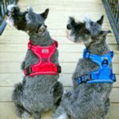 Venture Paw Pull Control Dog Harness - Mountain Lake