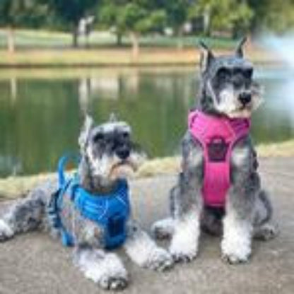 Venture Paw Pull Control Dog Harness - Mountain Lake