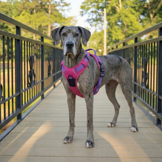 Venture Paw Pull Control Dog Harness – Sugar Rush Pink | No‑Pull Design