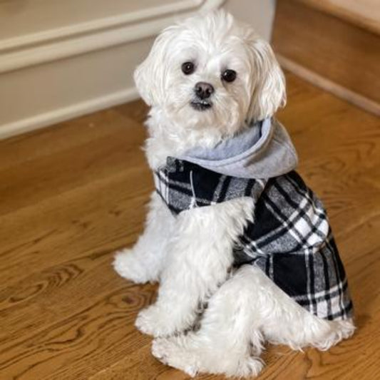 Weekender Dog Sweatshirt Hoodie - Black & White Plaid Flannel 78573