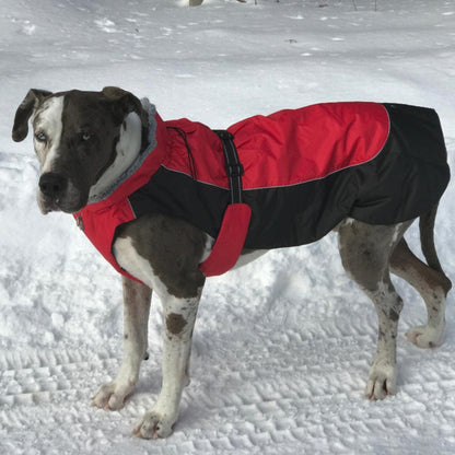 Alpine all weather coat. Trachea safe. Easy on and off. Leash hole at neck base. Elastic straps on back Legs holding coat tight to the body