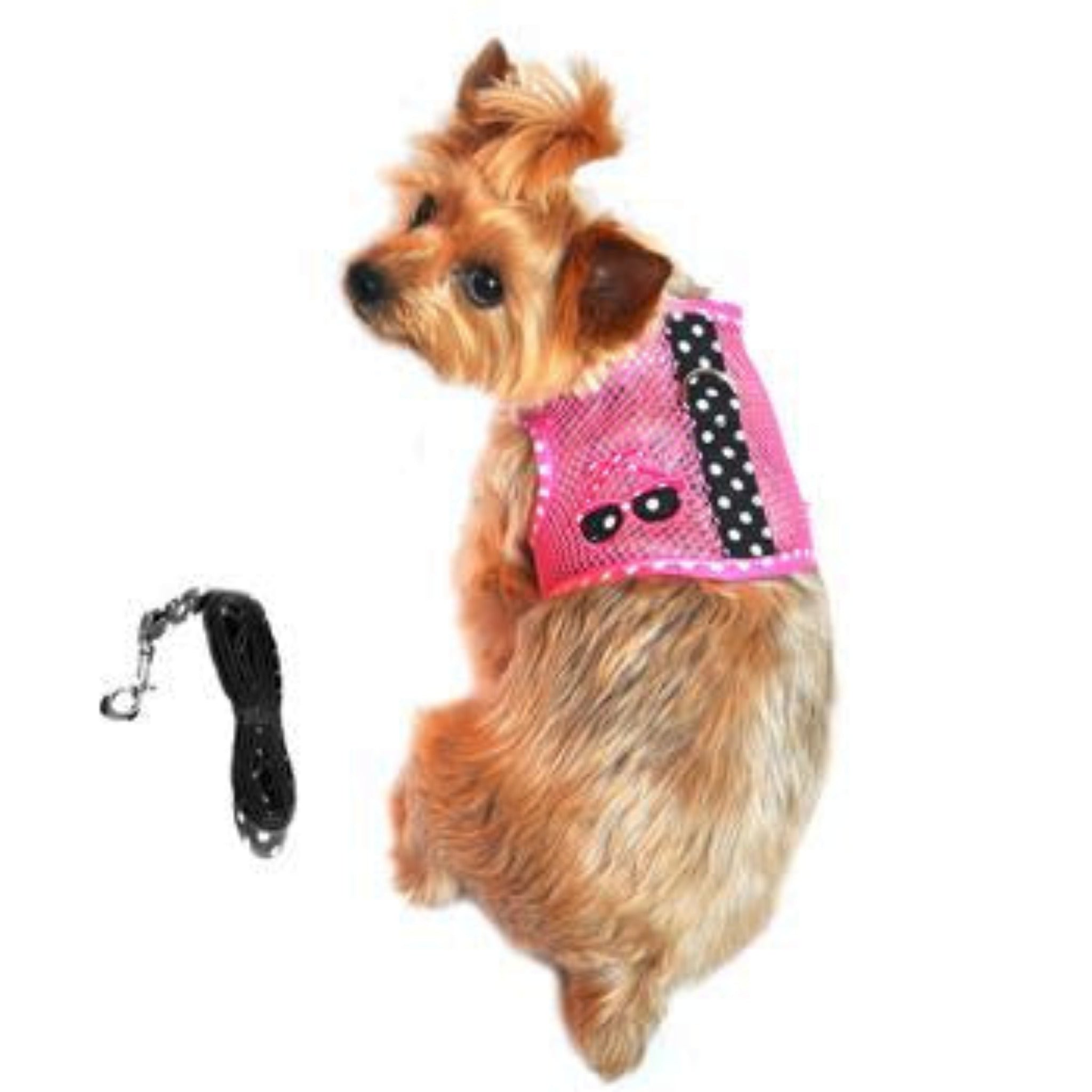 Cool Mesh Dog Harness – Under the Sea Collection | Rascal Pet Store