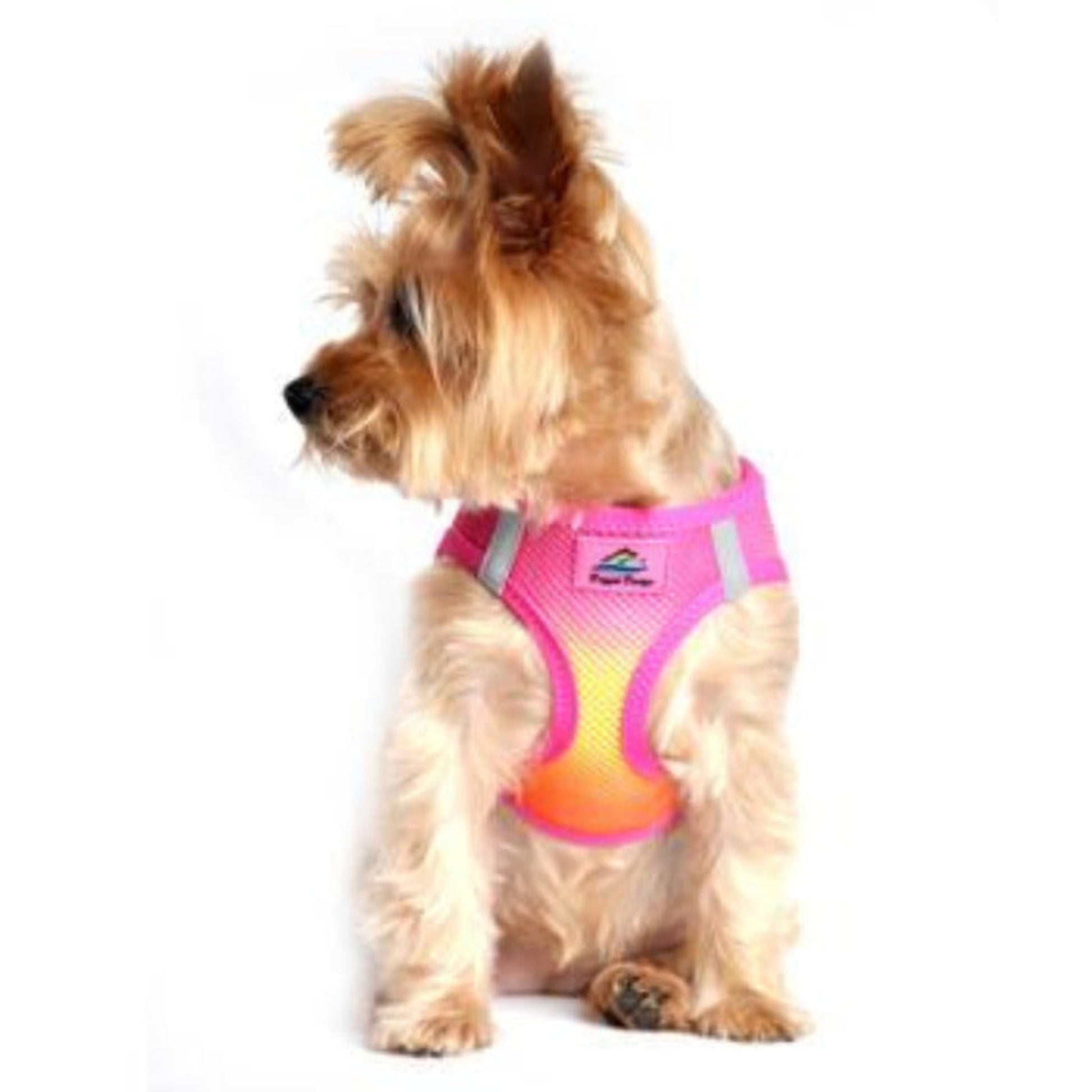 Raspberry & Orange dog harness