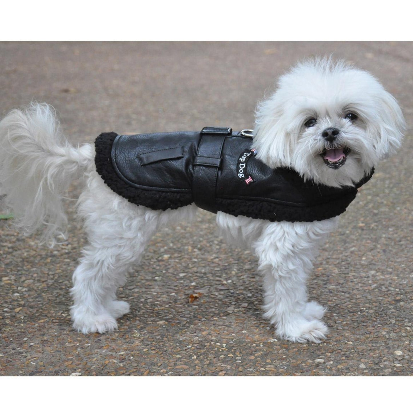 Top Dog Flight Harness Coat-Black-71949